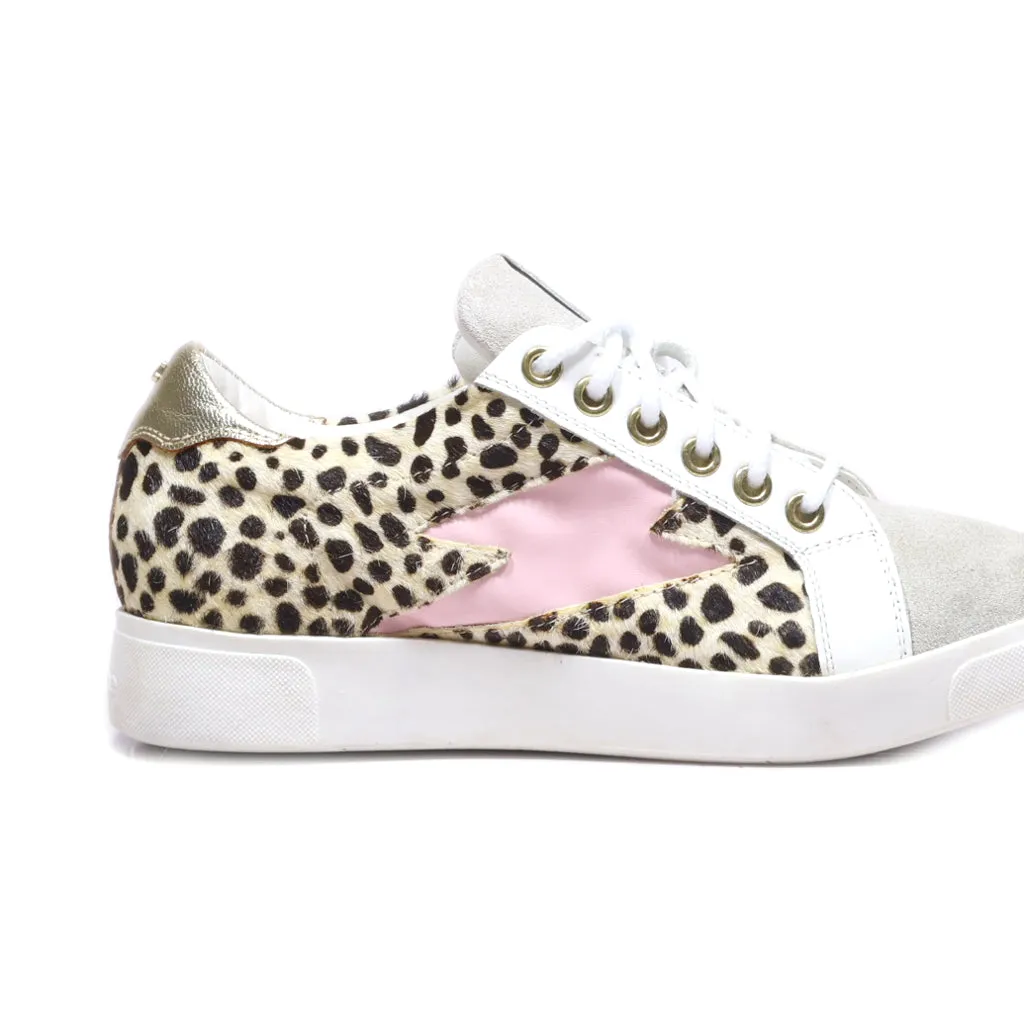 Dune London Low-Top Sneakers Hair Calf Multicolour Colour For Women